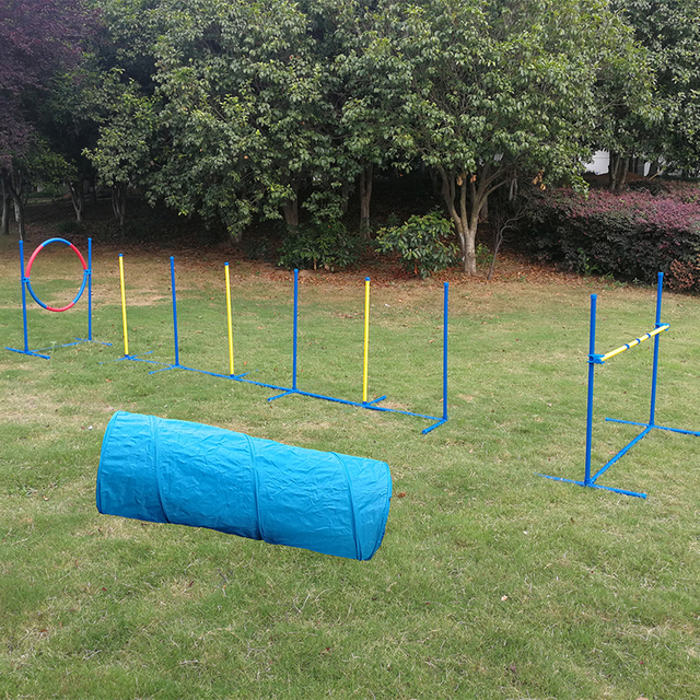 Dog Agility Set