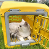 Fodlable Dog Plastic Transport Carrier