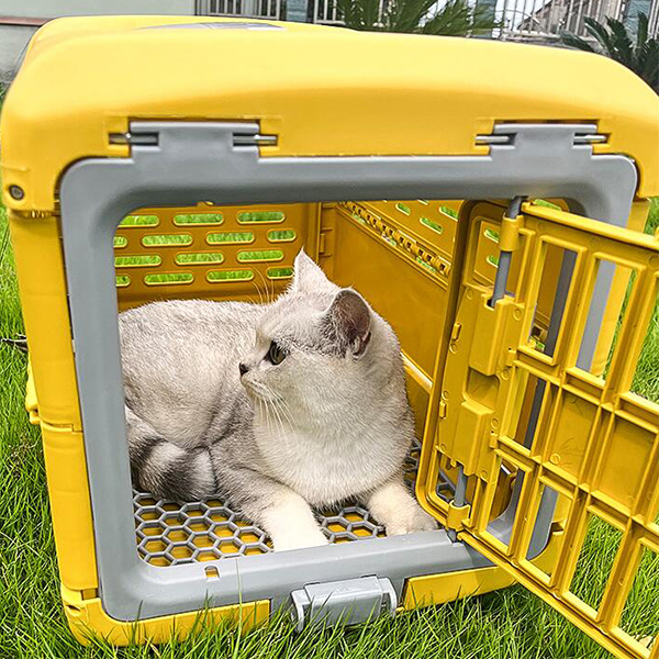 Fodlable Dog Plastic Transport Carrier