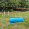 Dog Agility Set